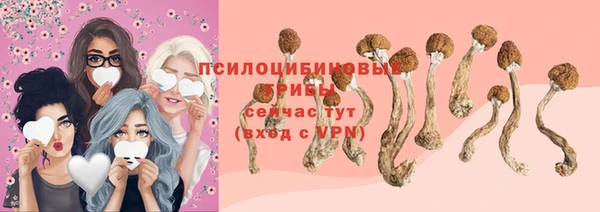 трава Богородицк