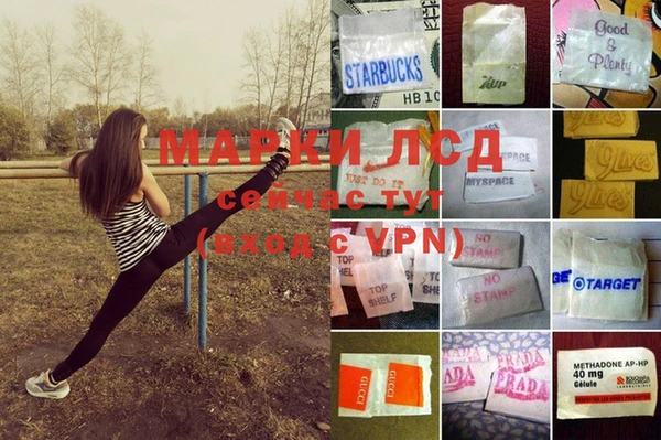 мяу мяу мука Белоозёрский