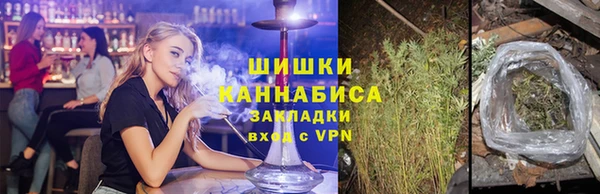 прущие крисы Белокуриха