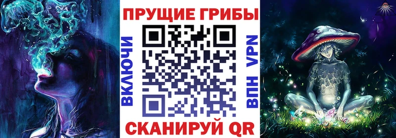 Псилоцибиновые грибы Magic Shrooms  hydra ССЫЛКА  Кимры 